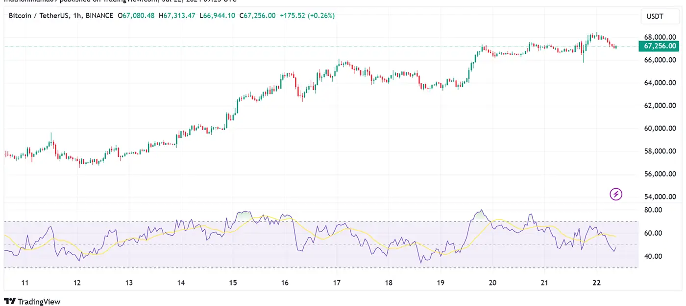 Bitcoin Holds Steady at $67K