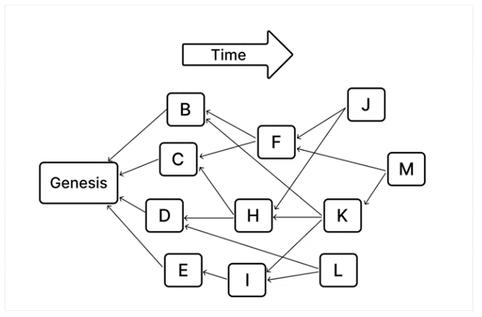 How Directed Acrylic Graphs Work