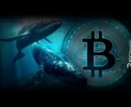 Bitcoin Whale is Dumping Again as BTC Flatlines at $116K