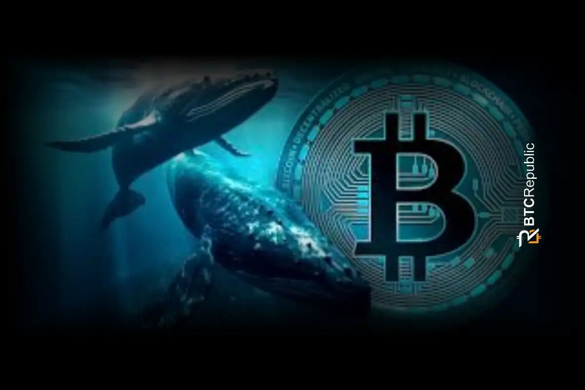 Bitcoin Whale is Dumping Again as BTC Flatlines at $116K