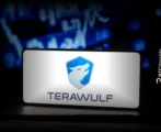 Crypto Miner TeraWulf Raises $3 Billion To Expand Data Centres
