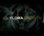 Nasdaq-Listed Cannabis Firm, Flora Growth, Makes Bold Pivot Into Blockchain and AI