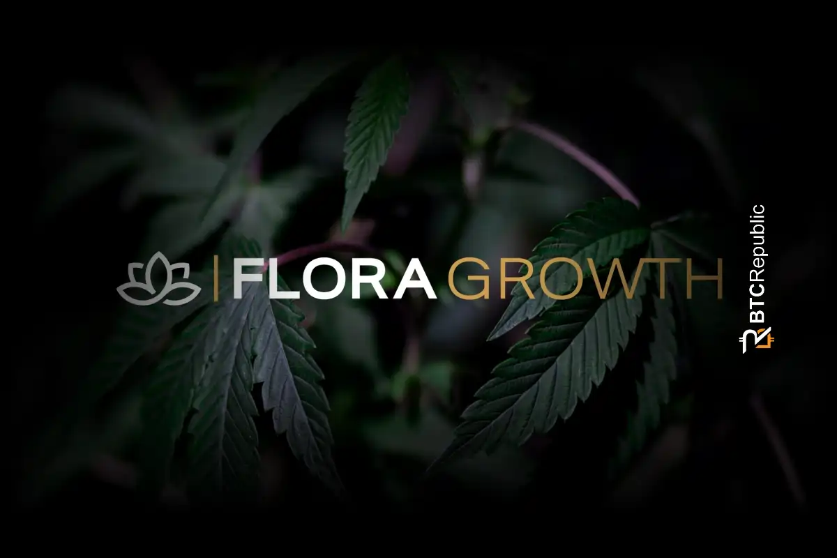 Nasdaq-Listed Cannabis Firm, Flora Growth, Makes Bold Pivot Into Blockchain and AI