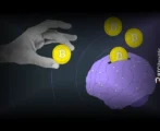 The Psychology of HODLing Insights into Crypto Investor Behavior