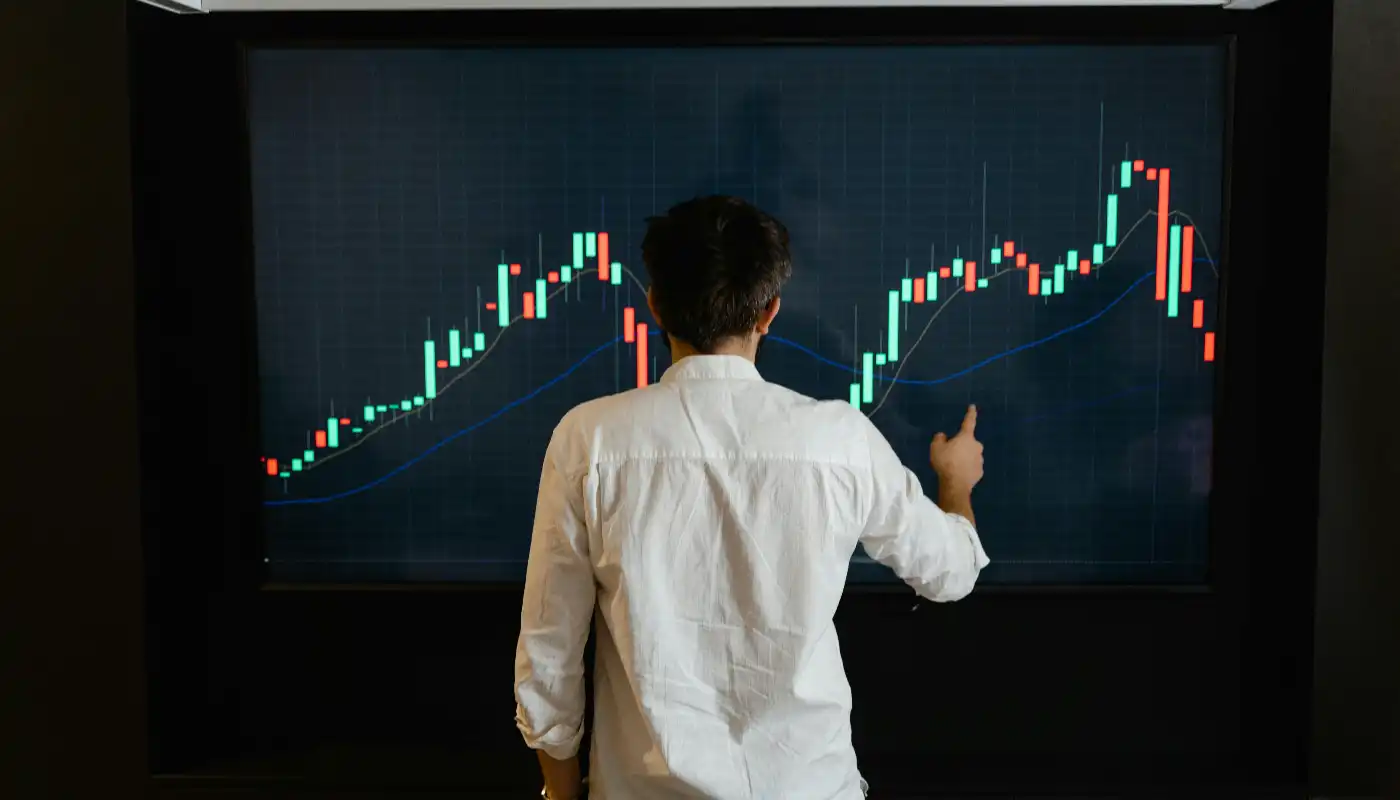 Factors Driving Meme Coin Popularity